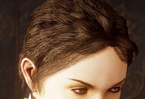 グリードフォール キャラメイクはどの程度できる 選べる種類やおすすめ グリードフォール キャラメイクはどの程度できる 選べる種類やおすすめ